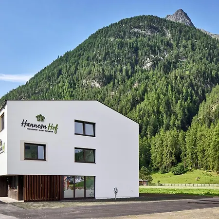 Διαμέρισμα Hannesnhof *