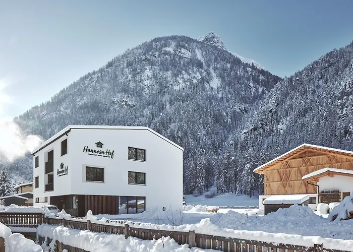 Hannesnhof Appartement